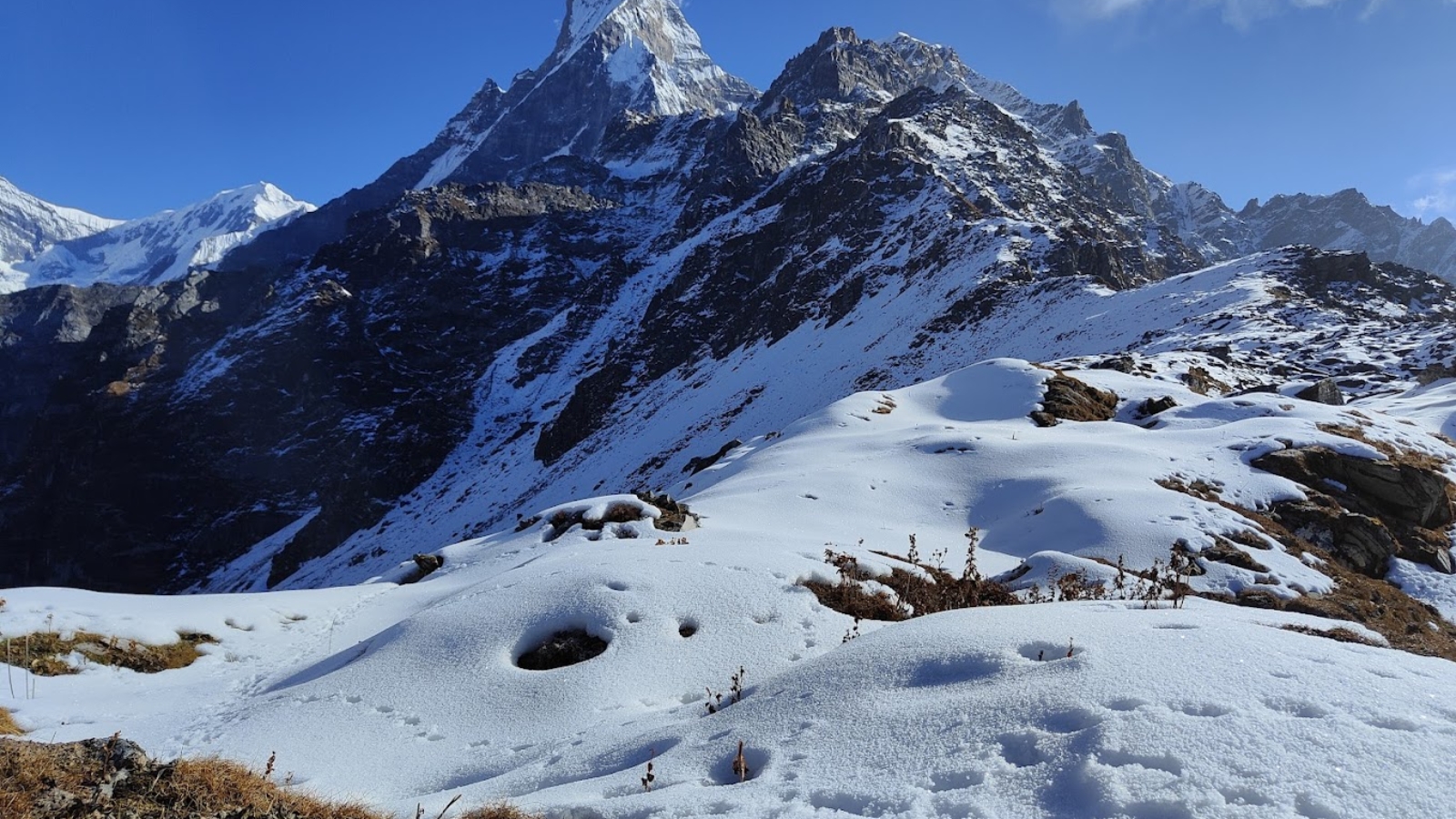 Snow-covered landscape of Mardi Himal with the majestic Machapuchare (Fishtail) peak in the background under a clear blue sky during the Mardi Himal Trek in Nepal.