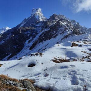 Snow-covered landscape of Mardi Himal with the majestic Machapuchare (Fishtail) peak in the background under a clear blue sky during the Mardi Himal Trek in Nepal.