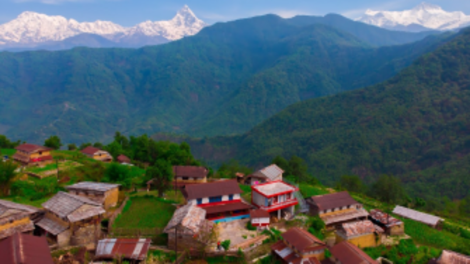 A scenic rural village in Pokhara, Nepal, with traditional houses surrounded by lush green hills and the snow-capped Himalayan mountains in the background.