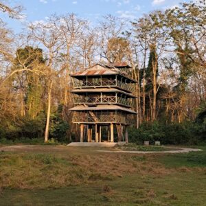 Wooden observation tower surrounded by forest in Chitwan National Park, Nepal